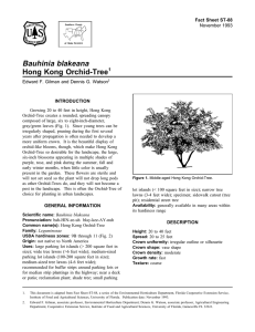 Bauhinia blakeana Hong Kong Orchid-Tree Fact Sheet ST-88 1