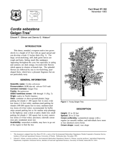 Cordia sebestena Geiger-Tree Fact Sheet ST-182 1