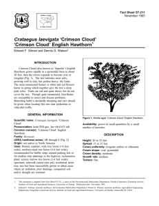 Crataegus laevigata ‘Crimson Cloud’ ‘Crimson Cloud’ English Hawthorn Fact Sheet ST-211 1