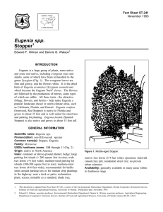 Eugenia spp. Stopper Fact Sheet ST-241 1
