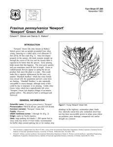 Fraxinus pennsylvanica ‘Newport’ ‘Newport’ Green Ash Fact Sheet ST-268 1