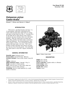 Kalopanax pictus Castor-Aralia Fact Sheet ST-335 1