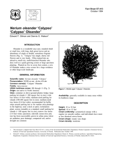 Nerium oleander ‘Calypso’ ‘Calypso’ Oleander Fact Sheet ST-413 1
