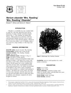Nerium oleander ‘Mrs. Roeding’ ‘Mrs. Roeding’ Oleander Fact Sheet ST-416 1