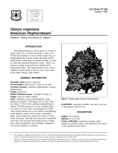Ostrya virginiana American Hophornbeam Fact Sheet ST-428 1