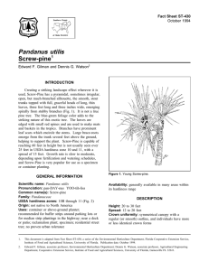 Pandanus utilis Screw-pine Fact Sheet ST-430 1