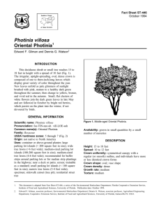 Photinia villosa Oriental Photinia Fact Sheet ST-446 1