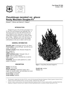 Pseudotsuga menziesii var. glauca Rocky Mountain Douglas-Fir Fact Sheet ST-528 1