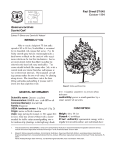 Fact Sheet ST-545 Quercus coccinea Scarlet Oak October 1994