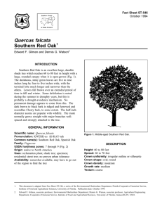 Quercus falcata Southern Red Oak Fact Sheet ST-546 1