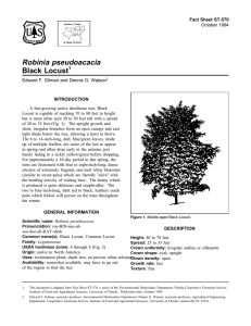 Robinia pseudoacacia Black Locust Fact Sheet ST-570 1