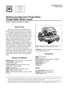 Robinia pseudoacacia ‘Purple Robe’ ‘Purple Robe’ Black Locust Fact Sheet ST-572 1