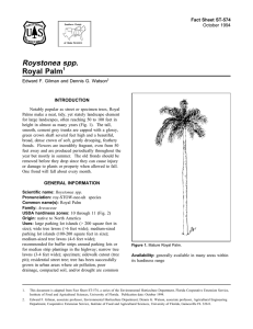 Roystonea spp. Royal Palm Fact Sheet ST-574 1