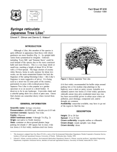 Syringa reticulata Japanese Tree Lilac Fact Sheet ST-610 1