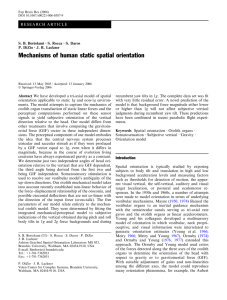 Mechanisms of human static spatial orientation
