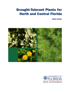 Drought-Tolerant Plants for North and Central Florida Gary Knox