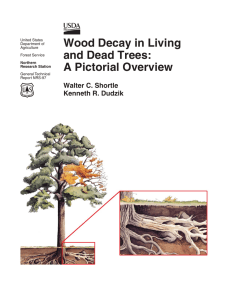 Wood Decay in Living and Dead Trees: A Pictorial Overview Walter C. Shortle