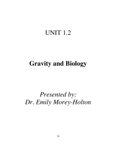 UNIT 1.2 Gravity and Biology Presented by: Dr. Emily Morey-Holton