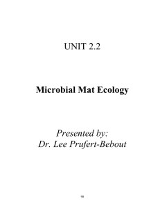 UNIT 2.2 Microbial Mat Ecology Presented by: