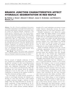 BRANCH JUNCTION CHARACTERISTICS AFFECT HYDRAULIC SEGMENTATION IN RED MAPLE