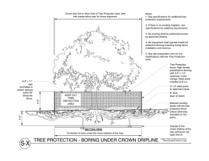 Crown drip line or other limit of Tree Protection area.... Notes: tree preservation plan for fence alignment.