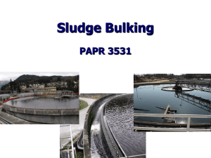 Sludge Bulking PAPR 3531