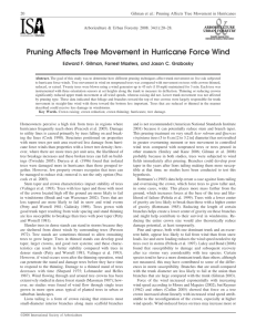 Pruning Affects Tree Movement in Hurricane Force Wind