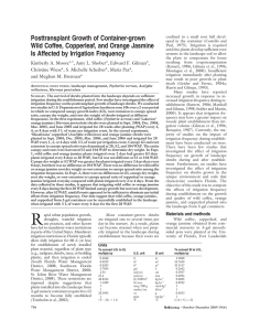 Posttransplant Growth of Container-grown Wild Coffee, Copperleaf, and Orange Jasmine