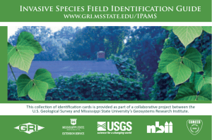 Invasive Species Field Identification Guide www.gri.msstate.edu/IPAMS