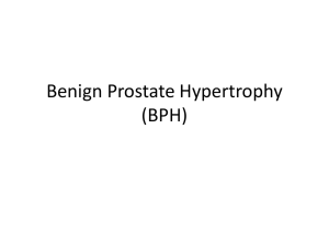 Benign Prostate Hypertrophy (BPH)