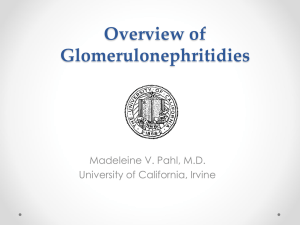 Overview of Glomerulonephritidies Madeleine V. Pahl, M.D. University of California, Irvine