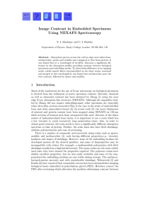 Image Contrast in Embedded Specimens Using NEXAFS Spectroscopy