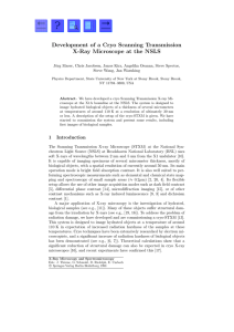 Development of a Cryo Scanning Transmission X-Ray Microscope at the NSLS