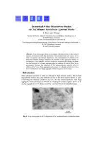 Dynamical X-Ray Microscopy Studies of Clay Mineral Particles in Aqueous Media  T.