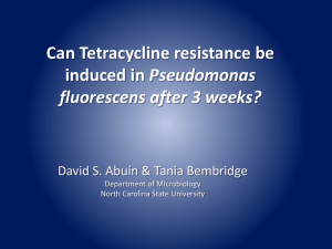 Can Tetracycline resistance be Pseudomonas fluorescens after 3 weeks?
