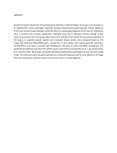 ABSTRACT:  Despite the great importance of Aureobasidium pullulans in biotechnology, the...