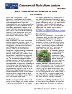 Warm Climate Production Guidelines for Herbs