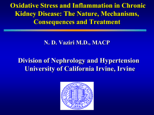 Oxidative Stress and Inflammation in Chronic Kidney Disease: The Nature, Mechanisms,