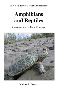 Amphibians and Reptiles Michael E. Dorcas Science in North Carolina