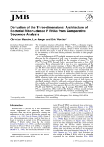 Derivation of the Three-dimensional Architecture of Sequence Analysis