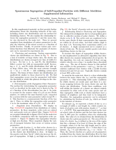 Spontaneous Segregation of Self-Propelled Particles with Dierent Motilities: Supplemental Information