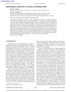 Hybridization dynamics of surface immobilized DNA Michael F. Hagan Arup K. Chakraborty