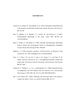 Amann, R. D., Ludwig, W., and Schleifer, K. H. (1995).... Microbial Rev.