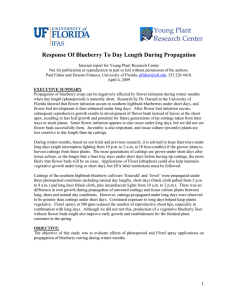 Response Of Blueberry To Day Length During Propagation