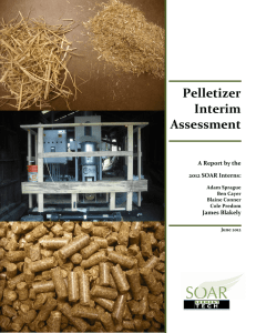 Pelletizer Interim Assessment