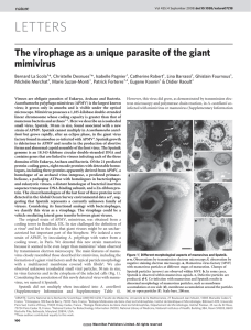 LETTERS The virophage as a unique parasite of the giant mimivirus