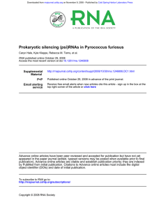 Pyrococcus furiosus Prokaryotic silencing (psi)RNAs in