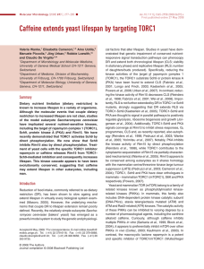 Caffeine extends yeast lifespan by targeting TORC1