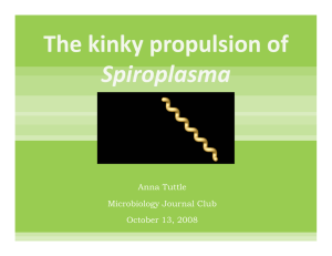 The kinky propulsion of  Spiroplasma Anna Tuttle Microbiology Journal Club