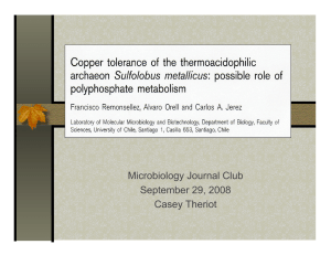 Microbiology Journal Club September 29, 2008 Casey Theriot